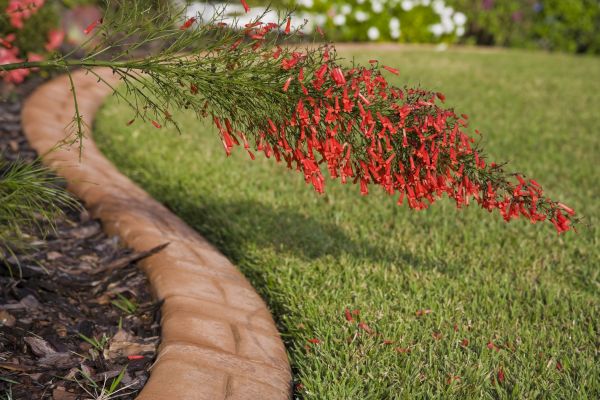 Brick Edging in Sandpoint